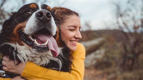 People love pets more than children in our society and new innovative companies are constantly popping up to monetize on this. The Human Pet Love Story - My Pet's Animal Hospital