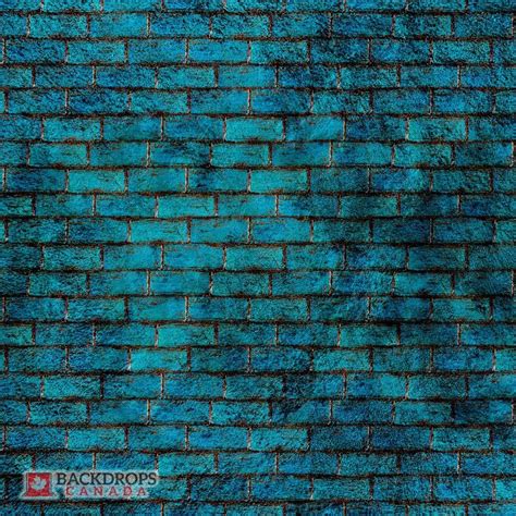 This Blue Brick Wall Backdrop Is Perfect For Senior Portraits And