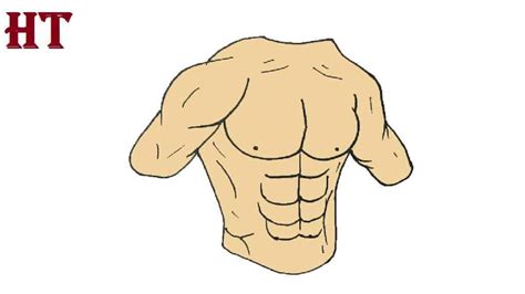 How To Draw Six Pack Body Step By Step Abs Drawing Easy