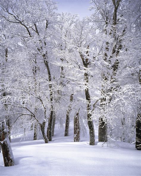 1000 Great Winter Landscape Photos · Pexels · Free Stock Photos