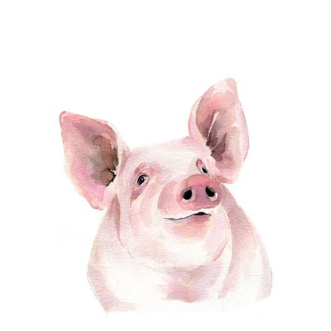 Piggy Pig Watercolor Paint Kit Pig Painting Watercolor Kit Animal