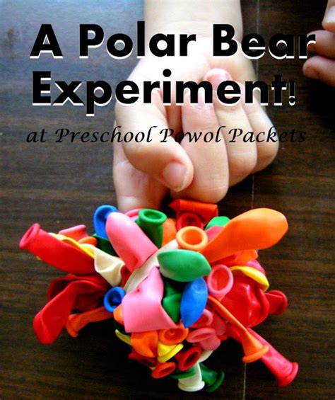 Come join us for playful activities with polar bears! Bear Theme Science Experiments and Activities for ...