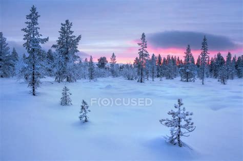 Sunset Over Frozen Winter Landscape Lapland Finland — Travel
