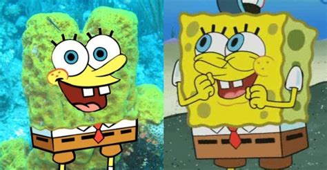 spongebob squarepants characters in real life