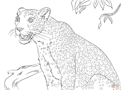 Select from 35919 printable coloring pages of cartoons, animals, nature, bible and many more. Snow Leopard Coloring Page - Coloring Home