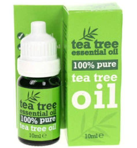 Today it's one of the beauty industry's favorite essential oils. Tea Tree, Tea Tree Essential Oil 100% Pure (100% olejek z ...