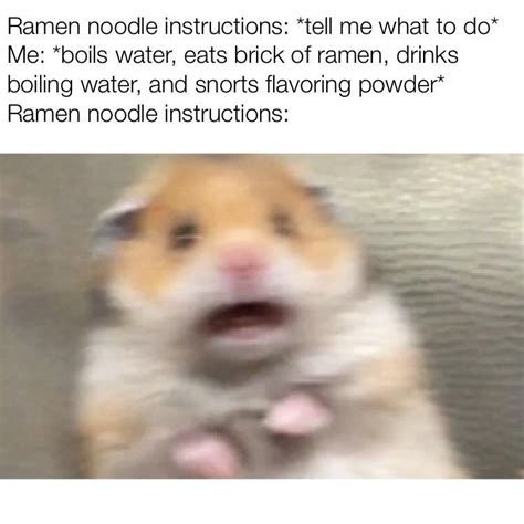 Ramen Scared Hamster Know Your Meme