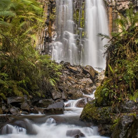 Guide Falls Waterfalls Of Tasmania