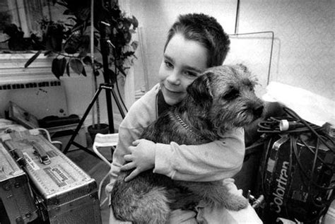 Sein besitzer ron, dessen frau lisa und ihr kleiner sohn shane hingen alle sehr an belker und hofften auf ein wunder. Bild von Mein Leben als Hund - Bild 18 auf 18 - FILMSTARTS.de