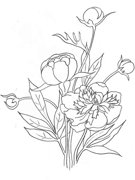 Flowers are vast and so much fun to color. Peony Flower coloring pages. Download and print Peony ...