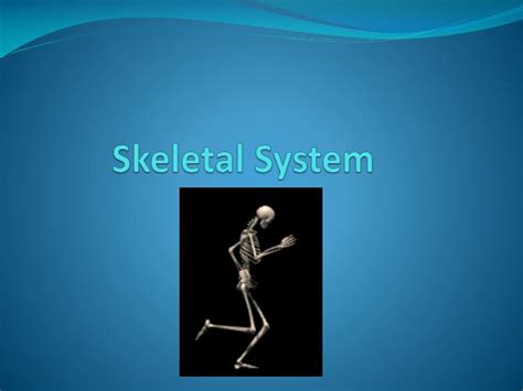 Ppt Skeletal System Powerpoint Presentation Free Download Id1474300