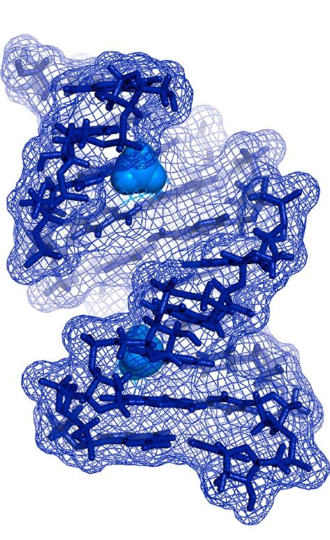 The lipid nanoparticles are like the boxes the mrna is shipped in, according to malone. Is this the decade of RNA?
