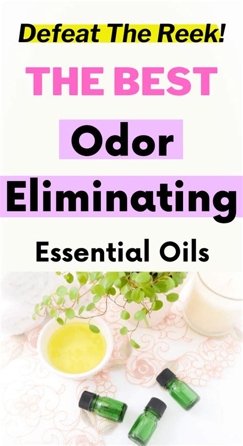 You Stinker Essential Oils For Odor Elimination Steph Social