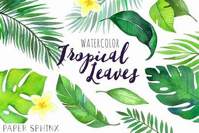 Tropical Leaves Watercolor Leaf Clipart Clip Palm