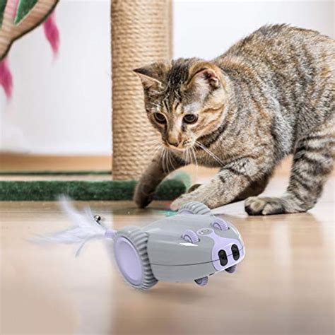 Dadypet Interactive Robotic Cat Toy Mouse Shape Automatic Irregular