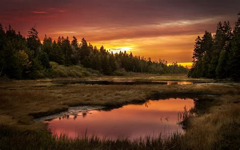 Sunset Lake Forest Landscape Reflection Wallpapers Hd Desktop And