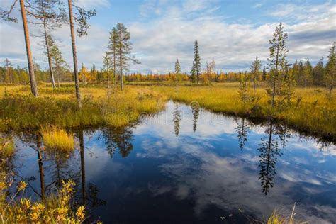 Autumn Lake In Lapland Northern Finland Stock Photo Image Of Lapland