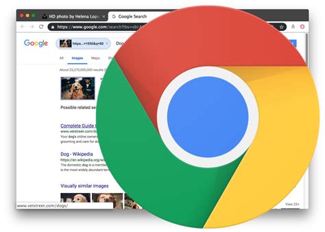 Google has many special features to help you find exactly what you're looking for. How to Reverse Image Search with Google Chrome the Easy Way