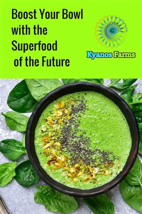 Spirulina Is Known As A Superior Plant Based Food Source For Humans