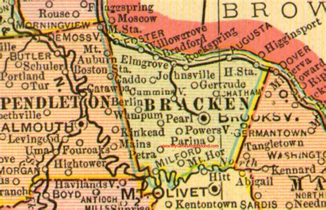 Bracken County Kentucky 1905 Map Brooksville Augusta Ky