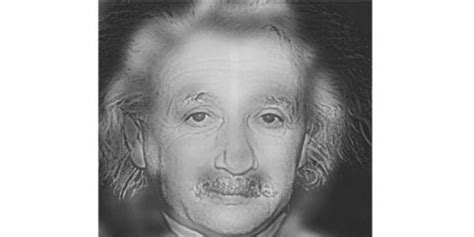 Laser etched version of the hollow face illusion. Einstein or Marilyn? This Mind-Blowing Optical Illusion ...