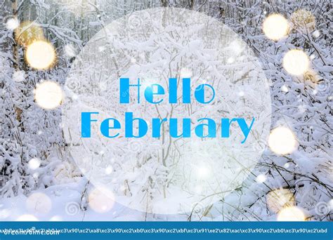 Banner Hello February Winter Landscape Snow And Snow Trees Nature