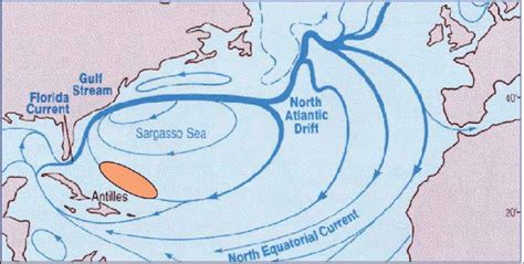 Map Showing The General Pattern Of Flow In The North Atlantic Ocean