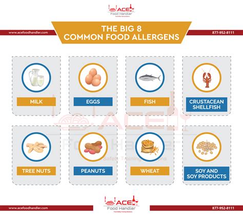 Understanding Relationship Between Food Safety And Allergens Ace Food Handler