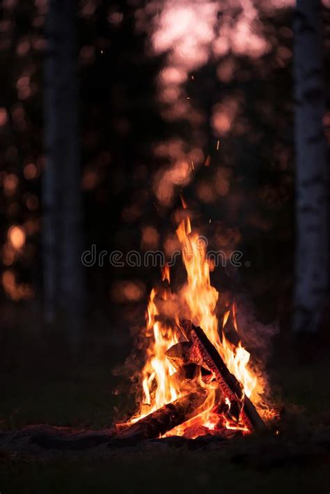 Burning Campfire On A Dark Night In A Forest Stock Image Image Of