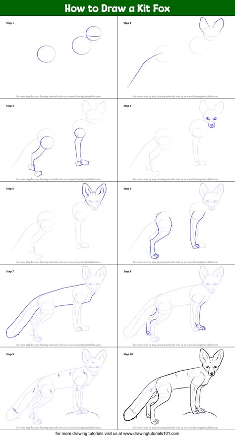 How To Draw A Kit Fox Wild Animals Step By Step