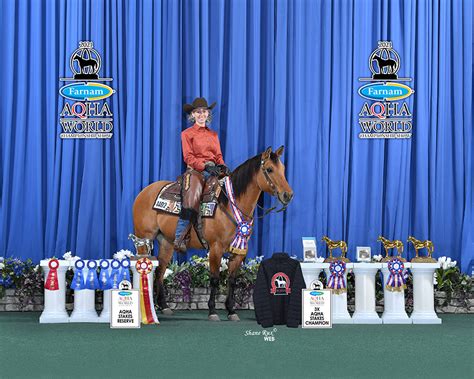 aqha world show champion open western dressage and dressage official site of stacy westfall