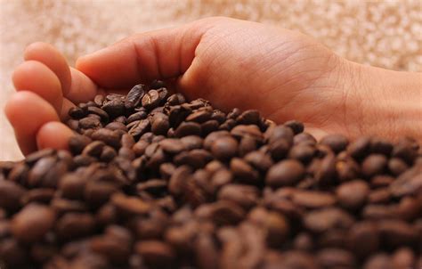 Kafa postaje luksuz cena u EU skočila 17 odsto Energetski Portal
