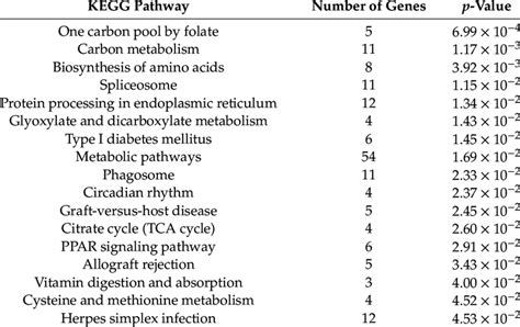 In kegg, pathways are represented in xml files that contain genes and gene groups, such as protein complexes as entries and interactions as entry pairs. KEGG pathway enrichment analysis of differentially ...