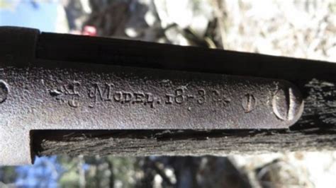 Rifle From 1882 Found Leaning On Tree In Nevada Park Bbc News