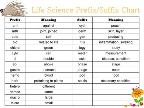 Ppt Prefixes And Suffixes Of Life Science Powerpoint Presentation