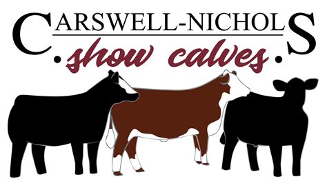 Maybe you would like to learn more about one of these? Dairy cattle Hereford cattle Sheep Horse Livestock show ...