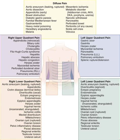 Abdominal Pain Causes By Location And Quadrant Differ Vrogue Co