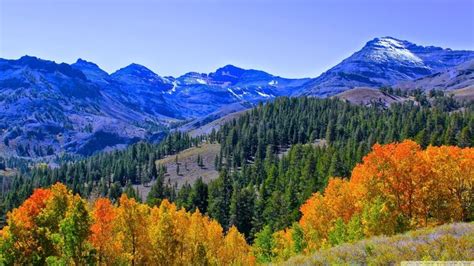 Fall Colors In The Sierra Nevada Mountain Range California