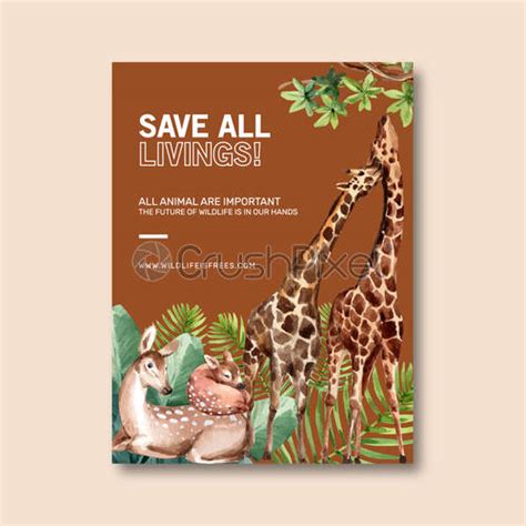 Zoo Poster Design With Lion Giraffe Deer Bird Watercolor