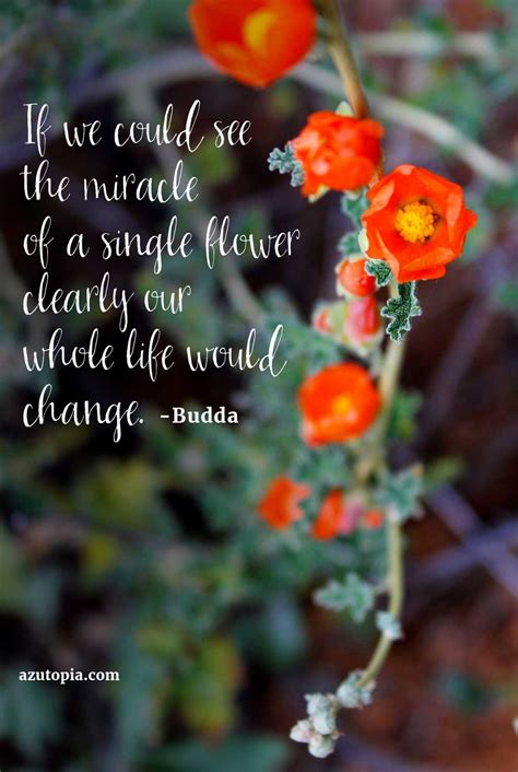 Find the best wildflower quotes, sayings and quotations on picturequotes.com. Inspiration: Sharable Nature Quotes & Images