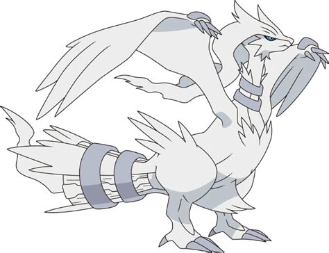 Reshiram Pokémon Wiki Fandom Powered By Wikia