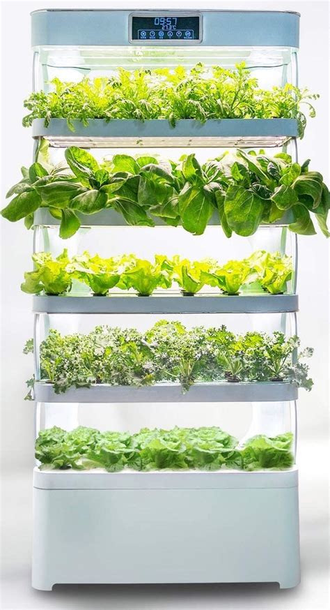 How To Make An Indoor Hydroponic Herb Garden Millie Diy