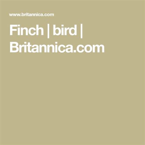 Finch Characteristics Species And Facts Finch Finches Bird Bird