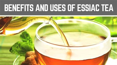 The 10 Best Benefits And Uses Of Essiac Tea Health Cure And Tips Youtube