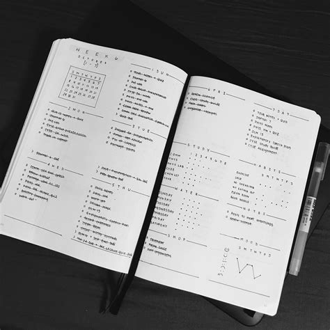 Bullet Journal Weekly Spread, Planner Bullet Journal, Bullet Journal