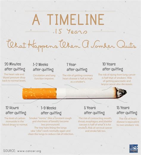 what happens when you stop smoking infographic naturalon natural health news and discoveries