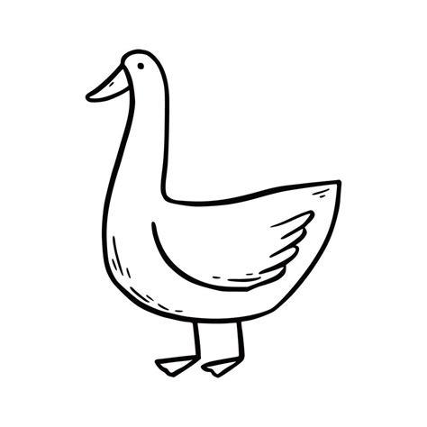 Goose Outline Vector Art Icons And Graphics For Free Download