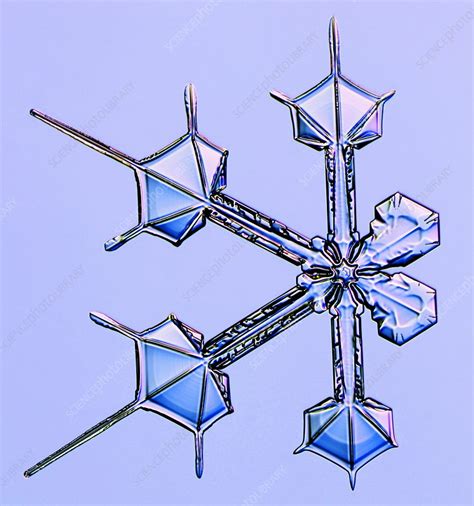 Split Snowflake Light Micrograph Stock Image C0479458 Science