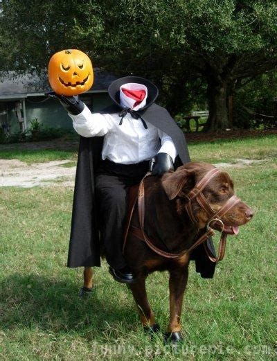 Funny Picture Clip Captions Funny Dog Halloween Costumes