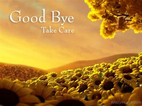 Good Bye Take Care